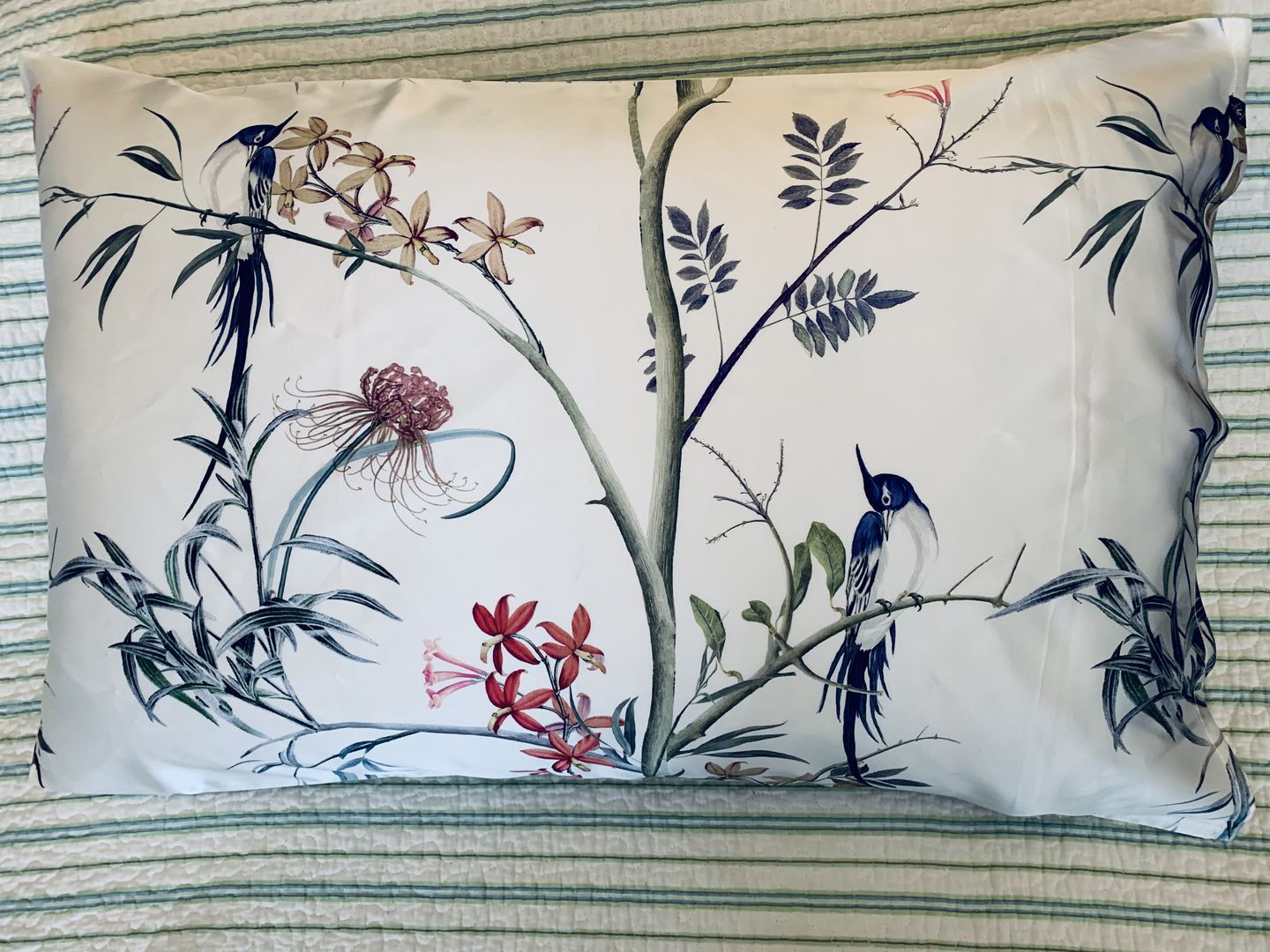 Customer photo review of Hummingbird Pure Silk Pillowcase
