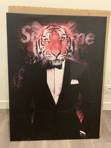 Customer photo review of Tableau Supreme Tigre
