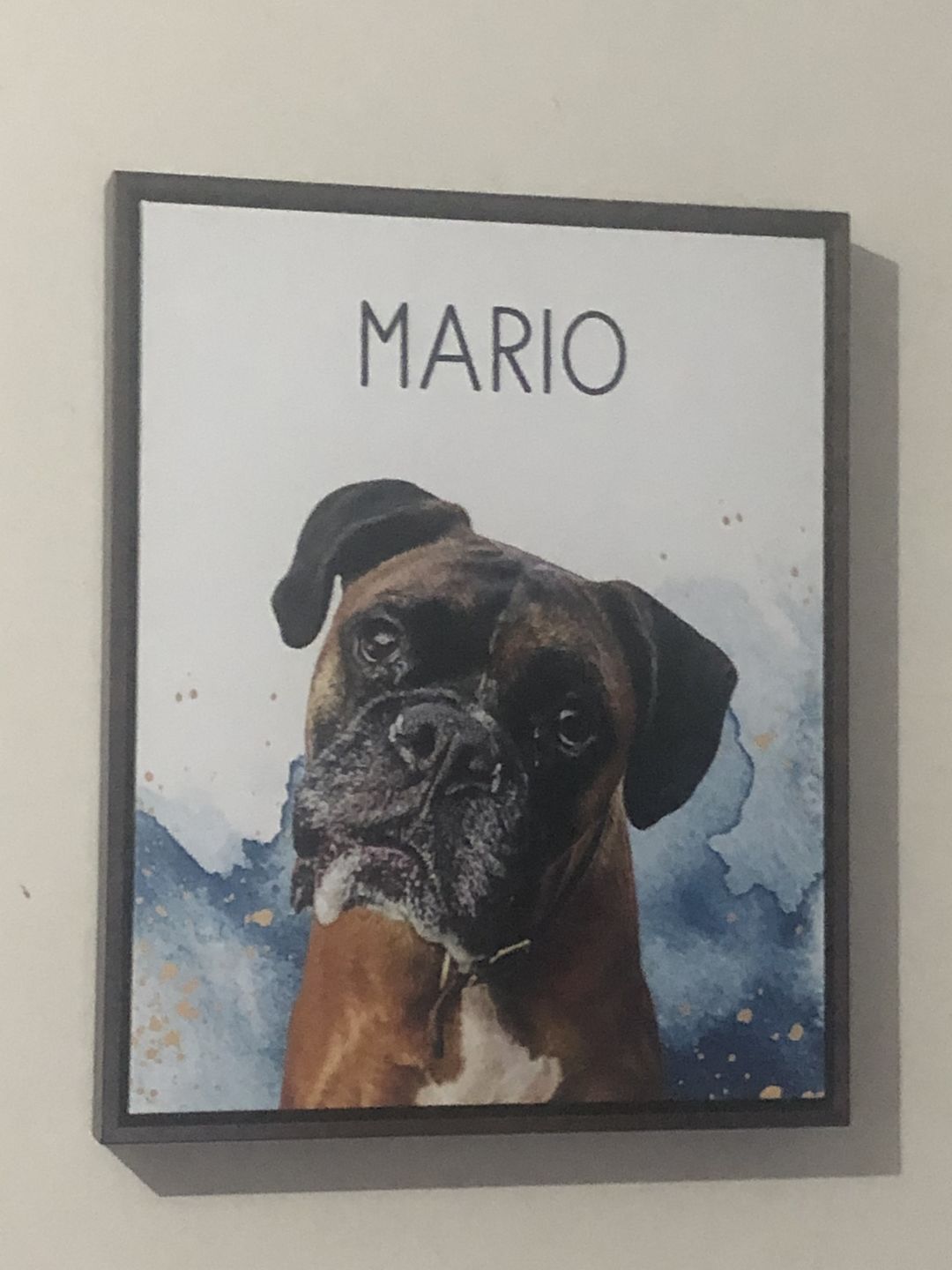 Customer photo review of Pop Chic Modern Framed Canvas