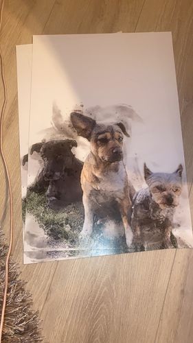 Customer photo review of Individuelles Haustierporträt - Posterdruck