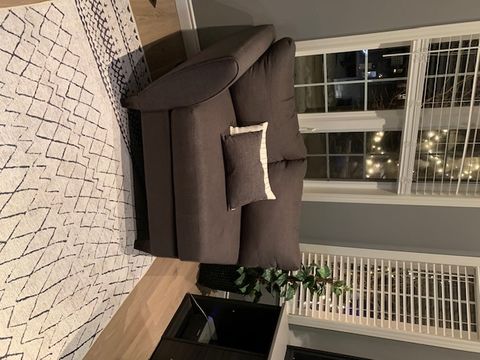 Customer photo review of Alma Scandi Silver Rug