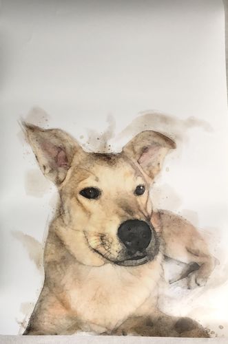 Customer photo review of Individuelles Haustierporträt - Posterdruck