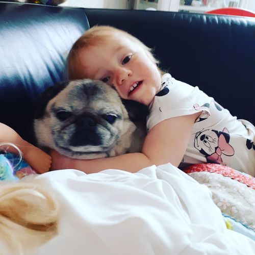 Customer photo review of Toilet Bombs (pack of 6)