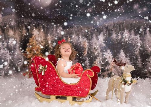 Customer photo review of Kate Winter Dream Christmas Night Trees Backdrop for Photography Designed By Jerry_Sina