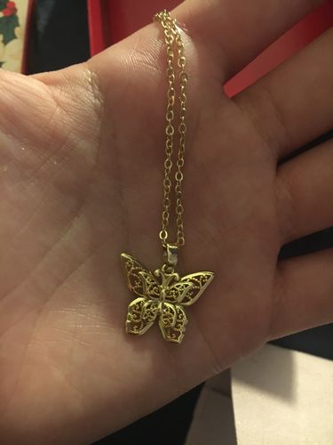Customer photo review of Double butterfly necklace