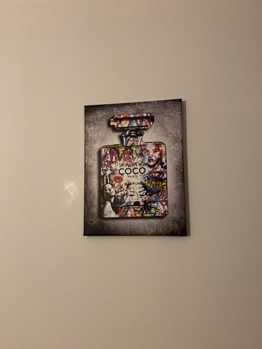 Customer photo review of Tableau In Love With Coco