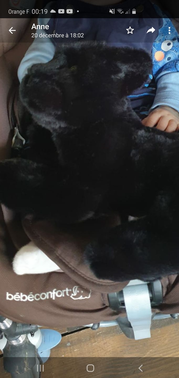 Customer photo review of Ma peluche Panthère Zélie
