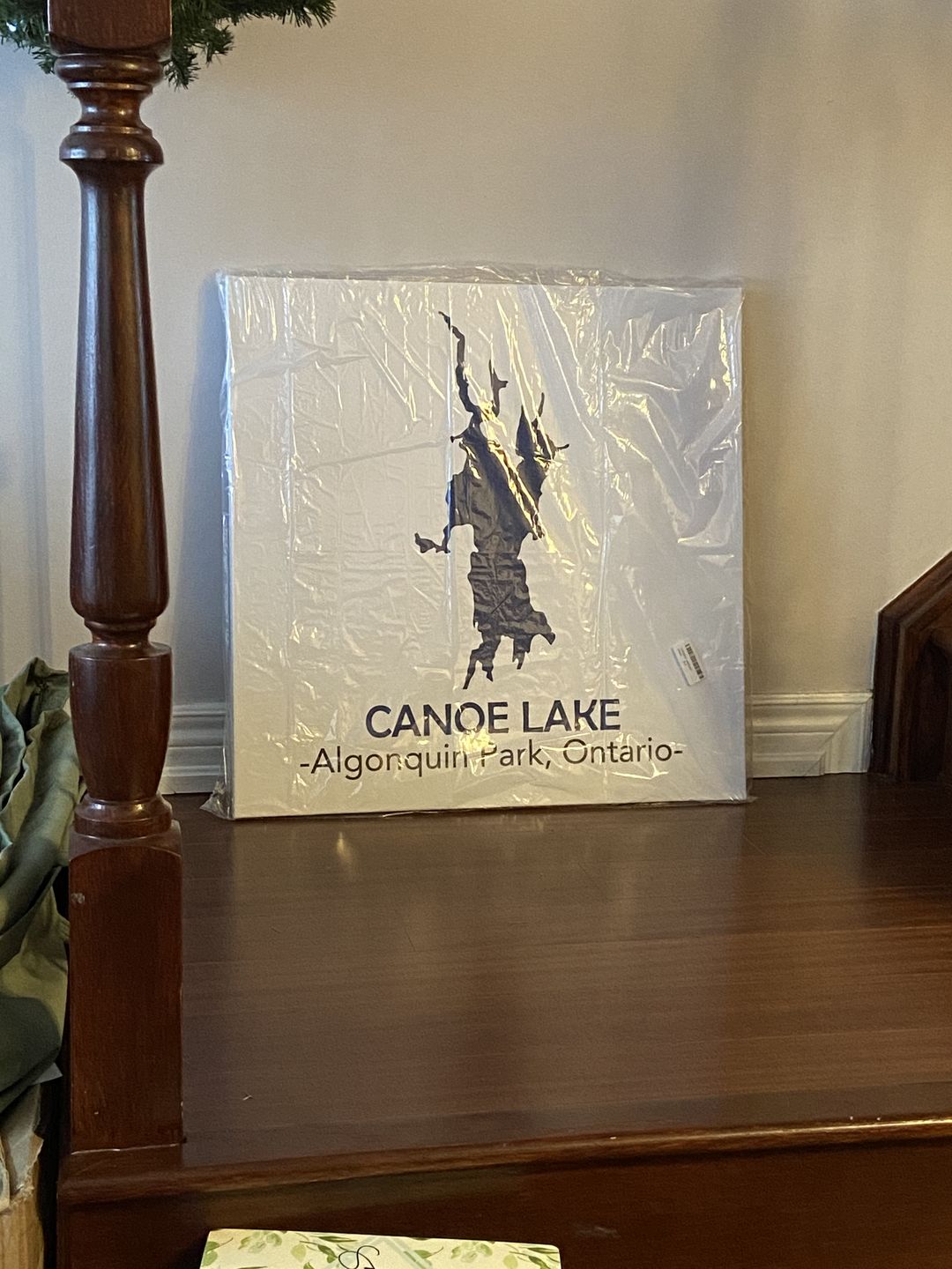 Customer photo review of Custom Lake Square Canvas