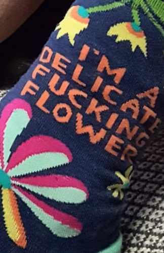 Customer photo review of Flower Printed Cute Sweet Socks - 3 Pairs