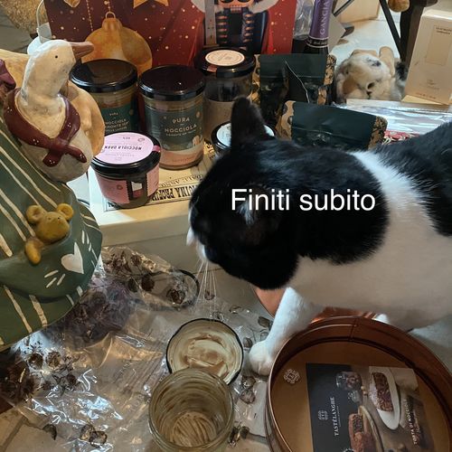 Customer photo review of Torta di Nocciole Tastëlanghe (Box Torta)