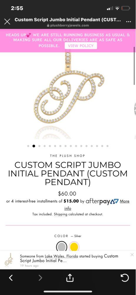 Customer photo review of MUSE CZ INITIAL NECKLACE