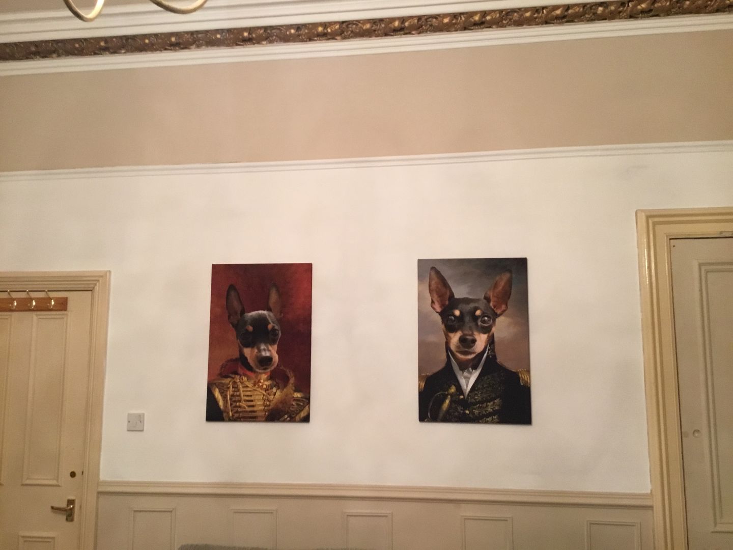 Customer photo review of The Colonel: Custom Pet Canvas
