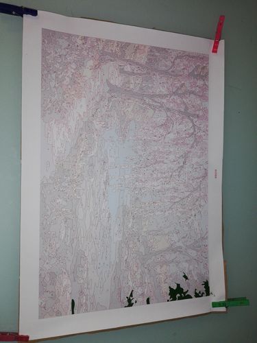 Customer photo review of Río del bosque