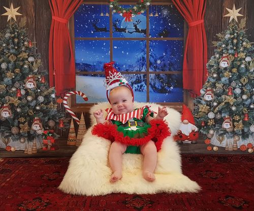 Customer photo review of Kate Christmas Trees Window Backdrop Designed by Chain Photography