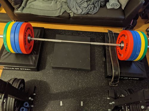 Customer photo review of Great Lakes Girya Poly Urethane Bumper Plates (PAIRS)