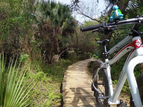 Customer photo review of Framed Wolftrax Alloy Trail 27.5+ MTB Fat Bike Mens