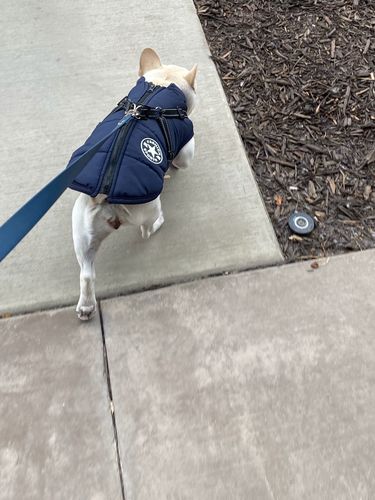 Customer photo review of Petyfy ™ Waterproof Jacket (Lifetime Warranty)