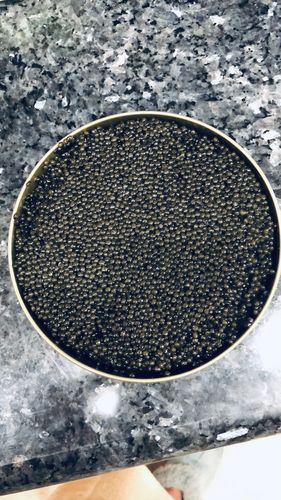 Customer photo review of Russian Osetra “Tsar’s Reserve” Caviar