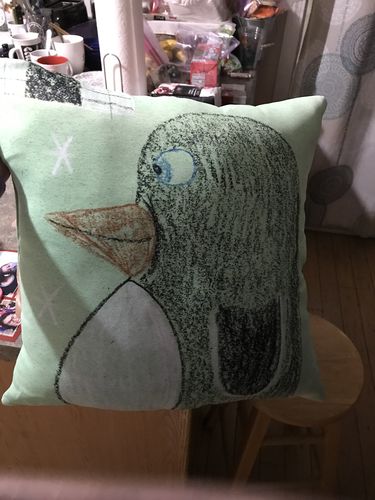 Customer photo review of Create A Custom Object Pillow