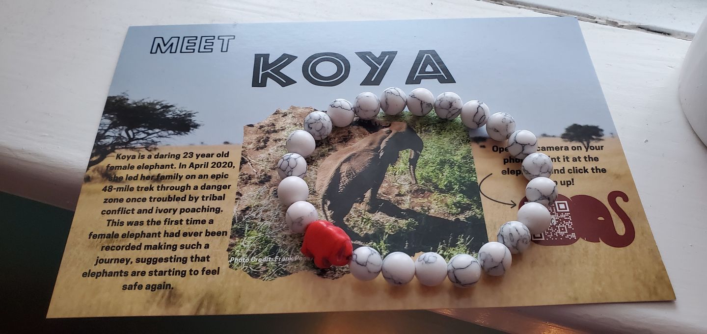 Customer photo review of The Expedition Bracelet