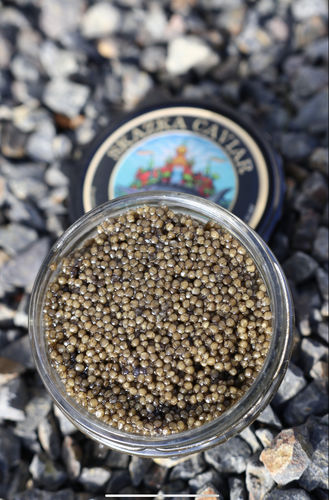 Customer photo review of Russian Osetra “Tsar’s Reserve” Caviar