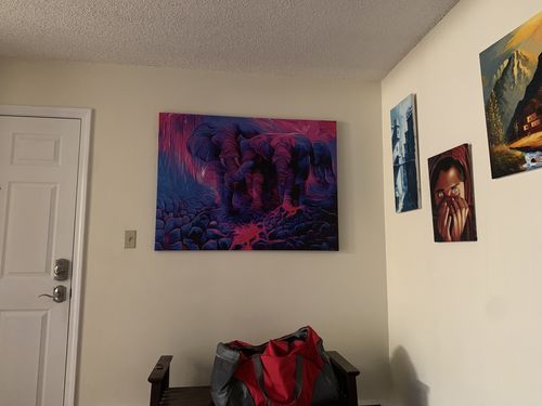 Customer photo review of Exodus Canvas Set