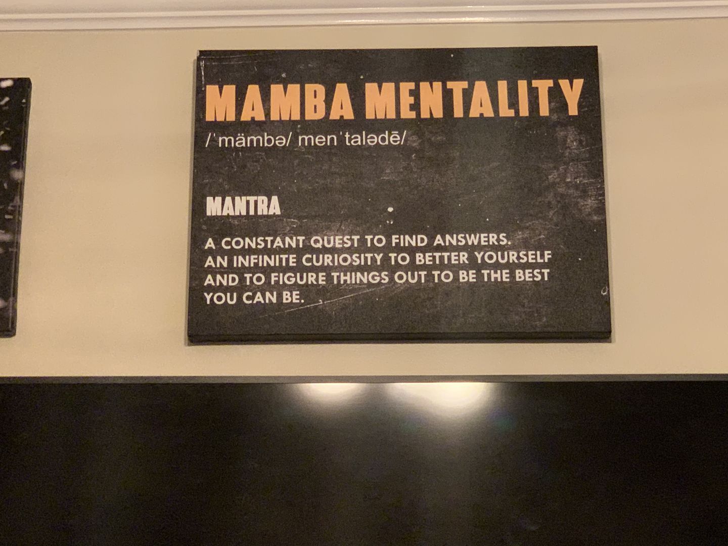 Customer photo review of Mamba Mentality Canvas Wall Art