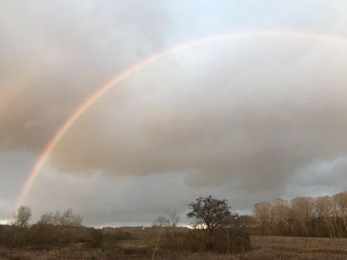 Customer photo review of Apple iPhone 7 Plus 128GB Jet Black Unlocked Refurbished Good