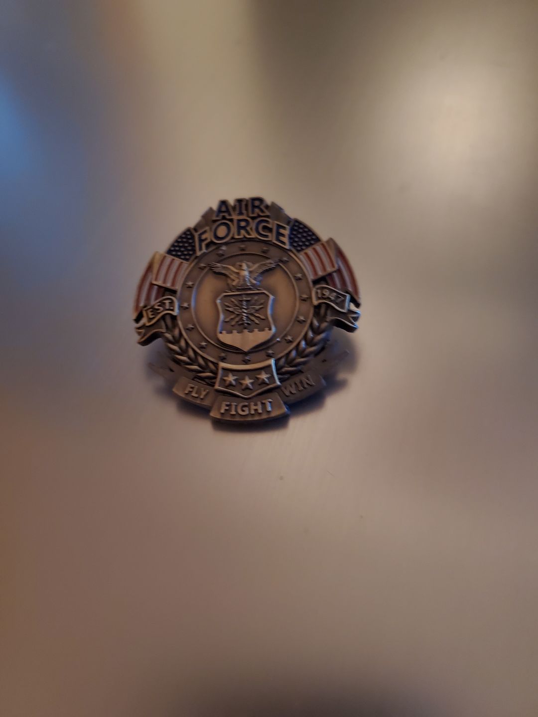 Customer photo review of US Air Force Veteran's Day Pin (PRE-ORDER!!!)