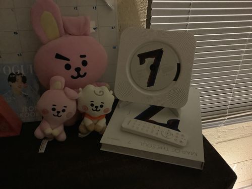 Customer photo review of ASTRONORD™ CD Player