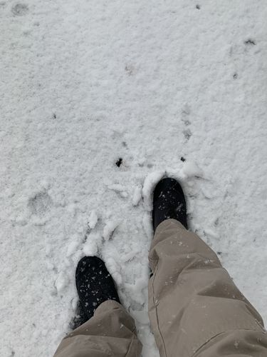 Customer photo review of The Pembrtn