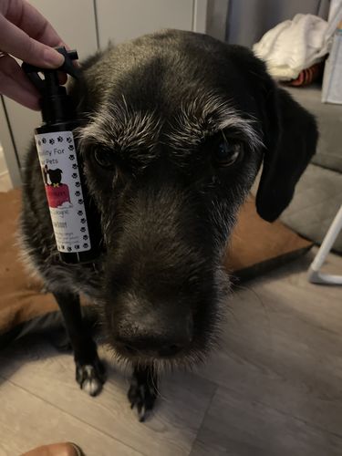 Customer photo review of Dog Cologne