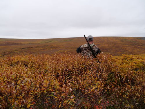 Customer photo review of Habit® Redstag Lodge Merino Base Layer Bottom