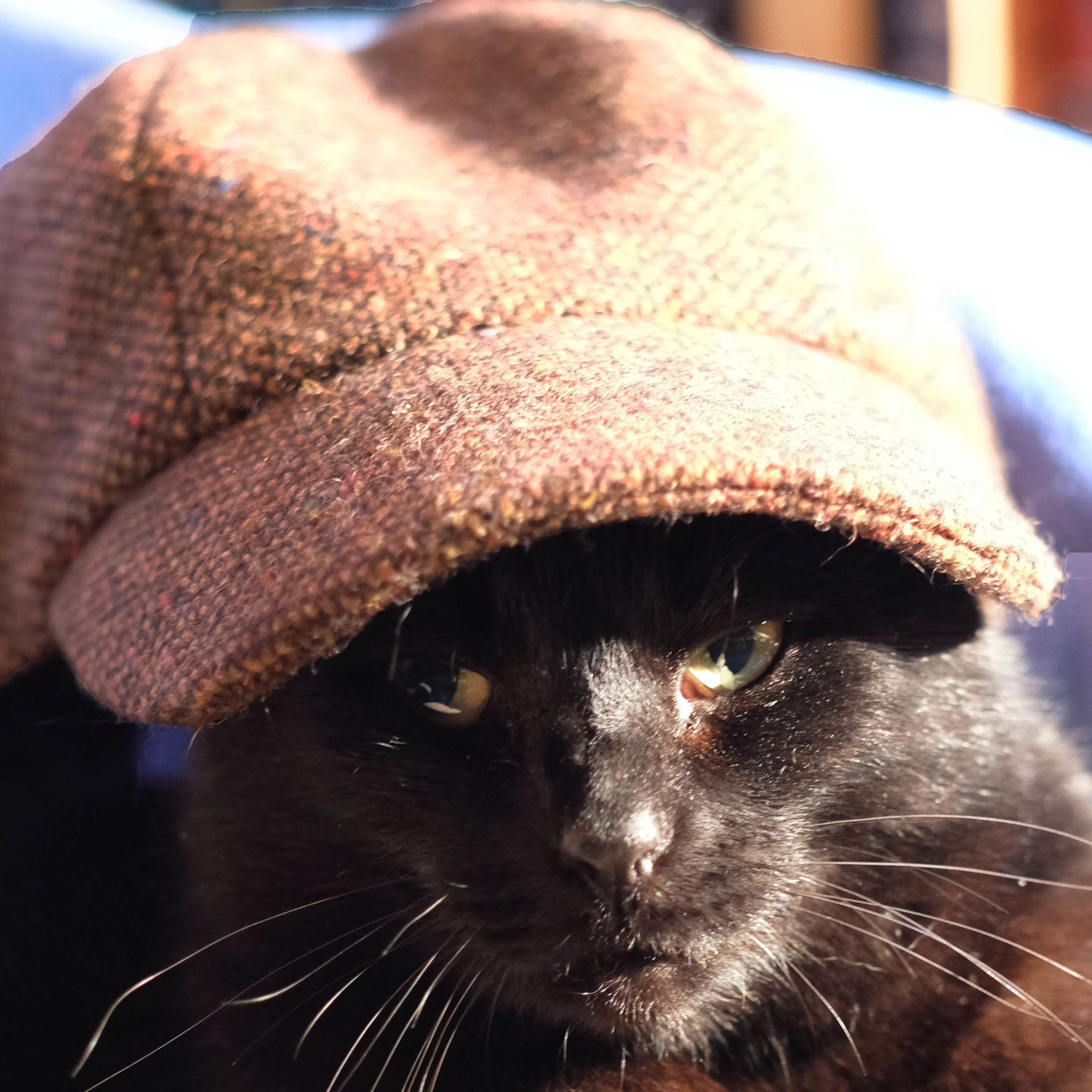 Customer photo review of Baseball Cap Tweed