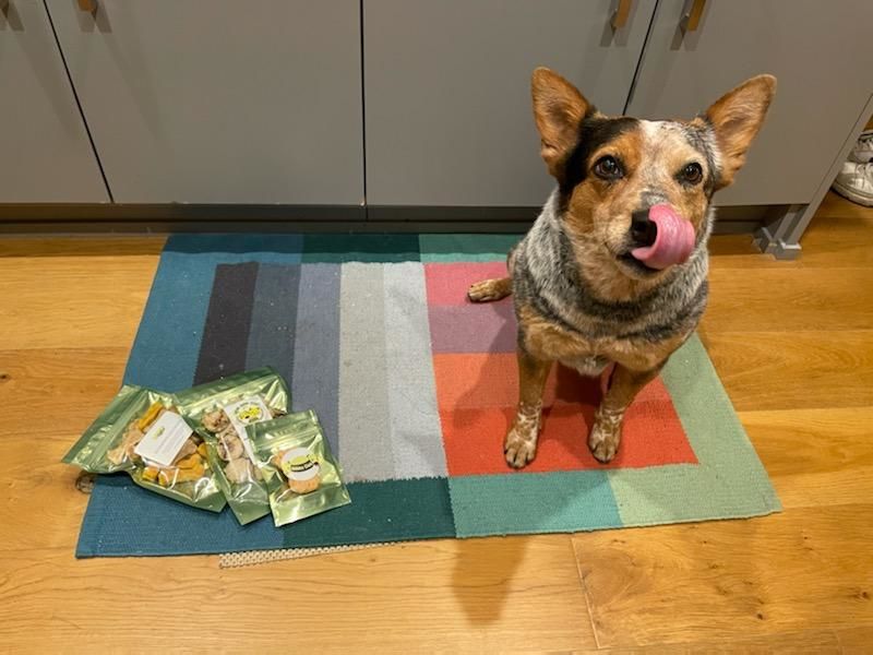 Customer photo review of Dog and Cat Fish Ball Treats