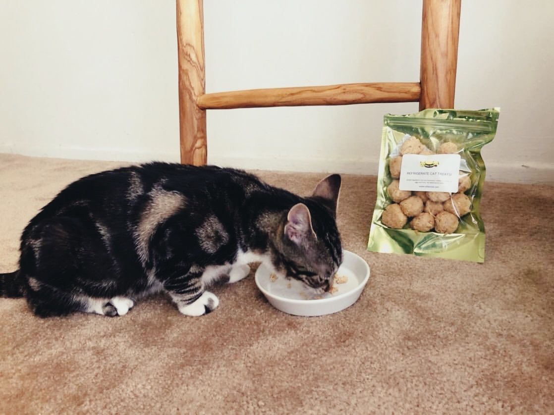 Customer photo review of Cat Treats