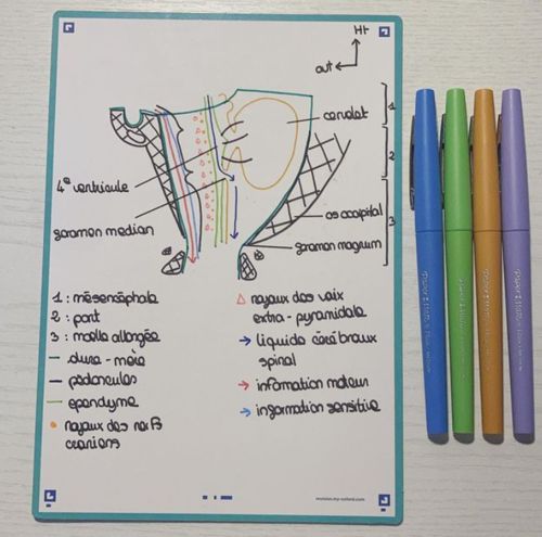 Avis photo d'un client sur Fiches de révision REVISION 2.0 OXFORD # 50 fiches 14,8 x 21 cm - uni blanc