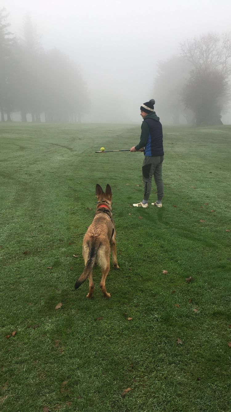 Customer photo review of Remote Training Collar System