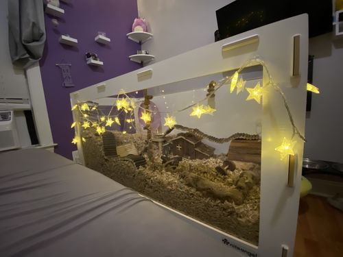 Customer photo review of Niteangel Bigger World MDF Terrarium Aspen Poplar Wooden Enclosure for Syrian and Dwarf Hamsters