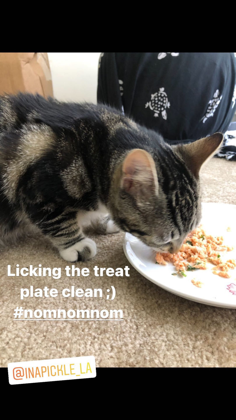 Customer photo review of Dog and Cat Fish Ball Treats