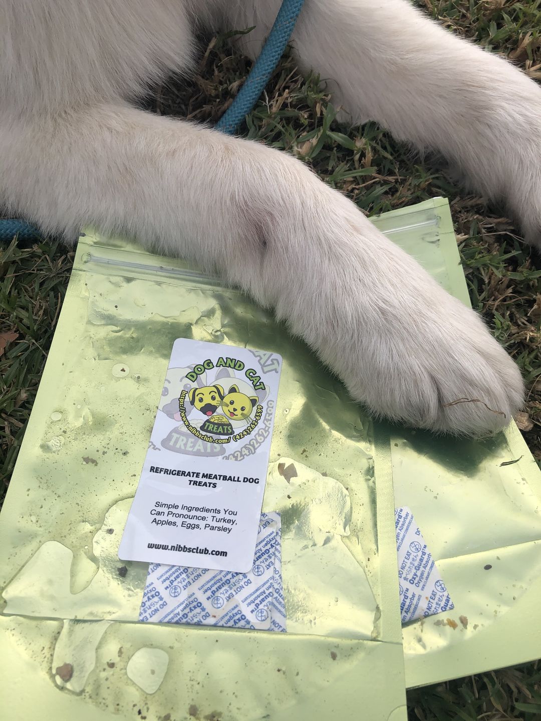 Customer photo review of Meatball Dog Treats