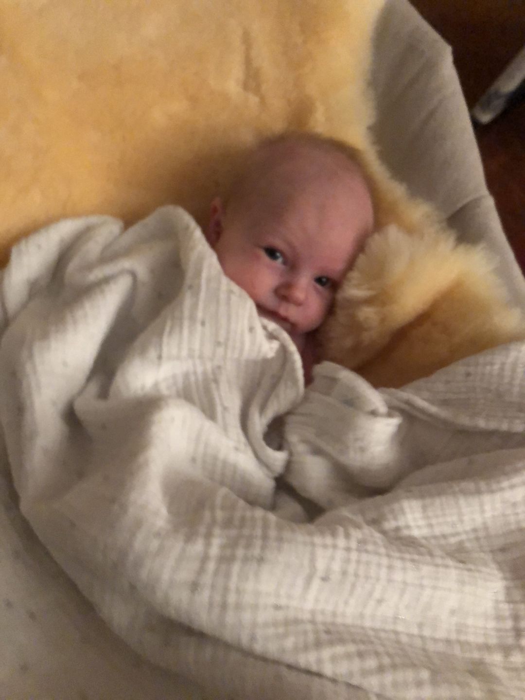 Customer photo review of Sheepskin Rug for Babies, 100% Natural, Shorn Lambskin Wool, 2 x 3 Feet, Flax