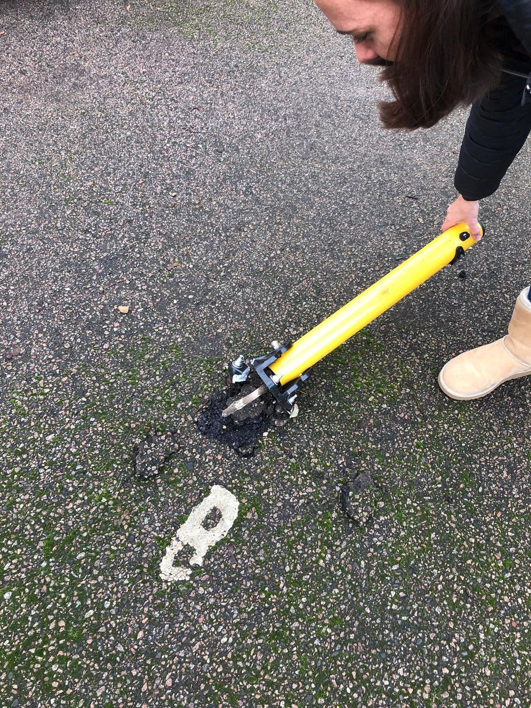 Customer photo review of KYP-1 Fold Down Parking Post