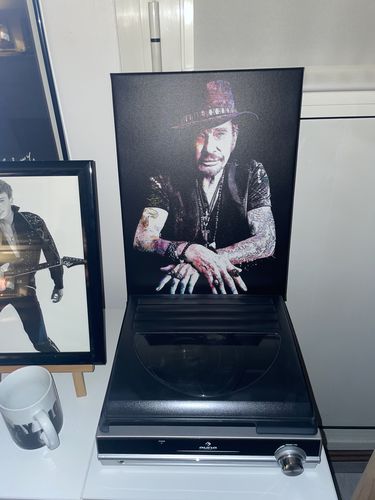 Customer photo review of Tableau Johnny Hallyday Color