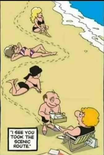 Customer photo review of Dot Print Pleated Skater Dress