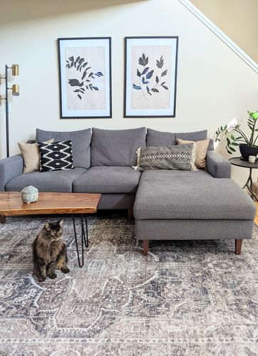 Customer photo review of Distressed Vintage Kendra Ash Area Rug