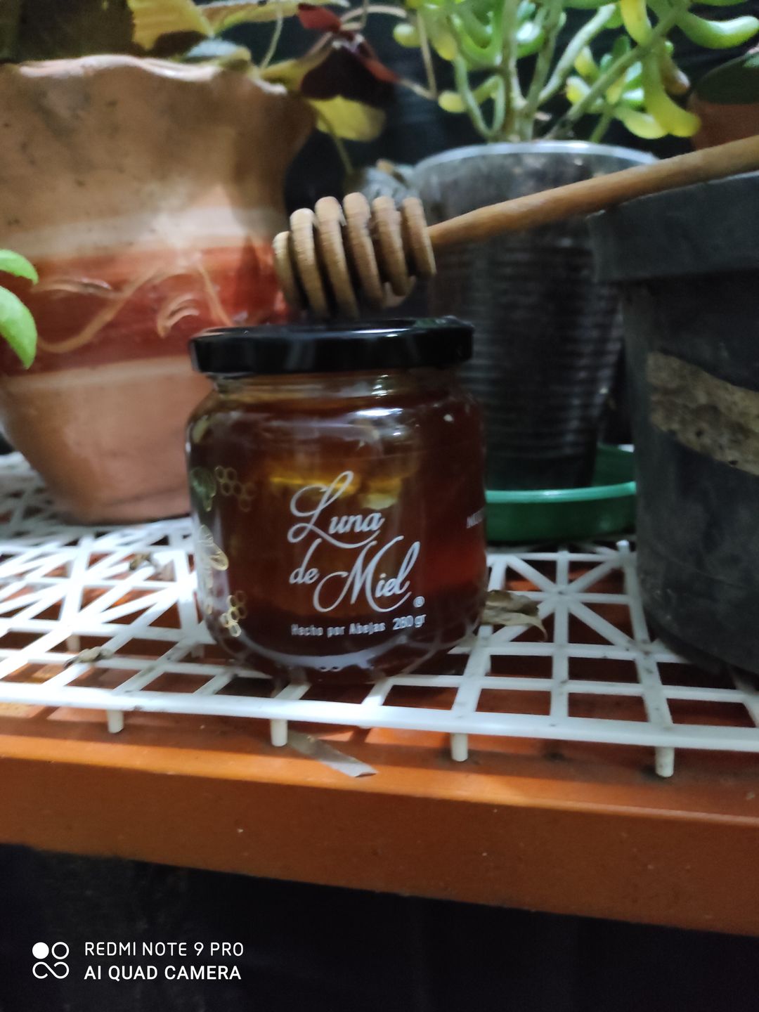 Customer photo review of Luna de miel con panal de abejas