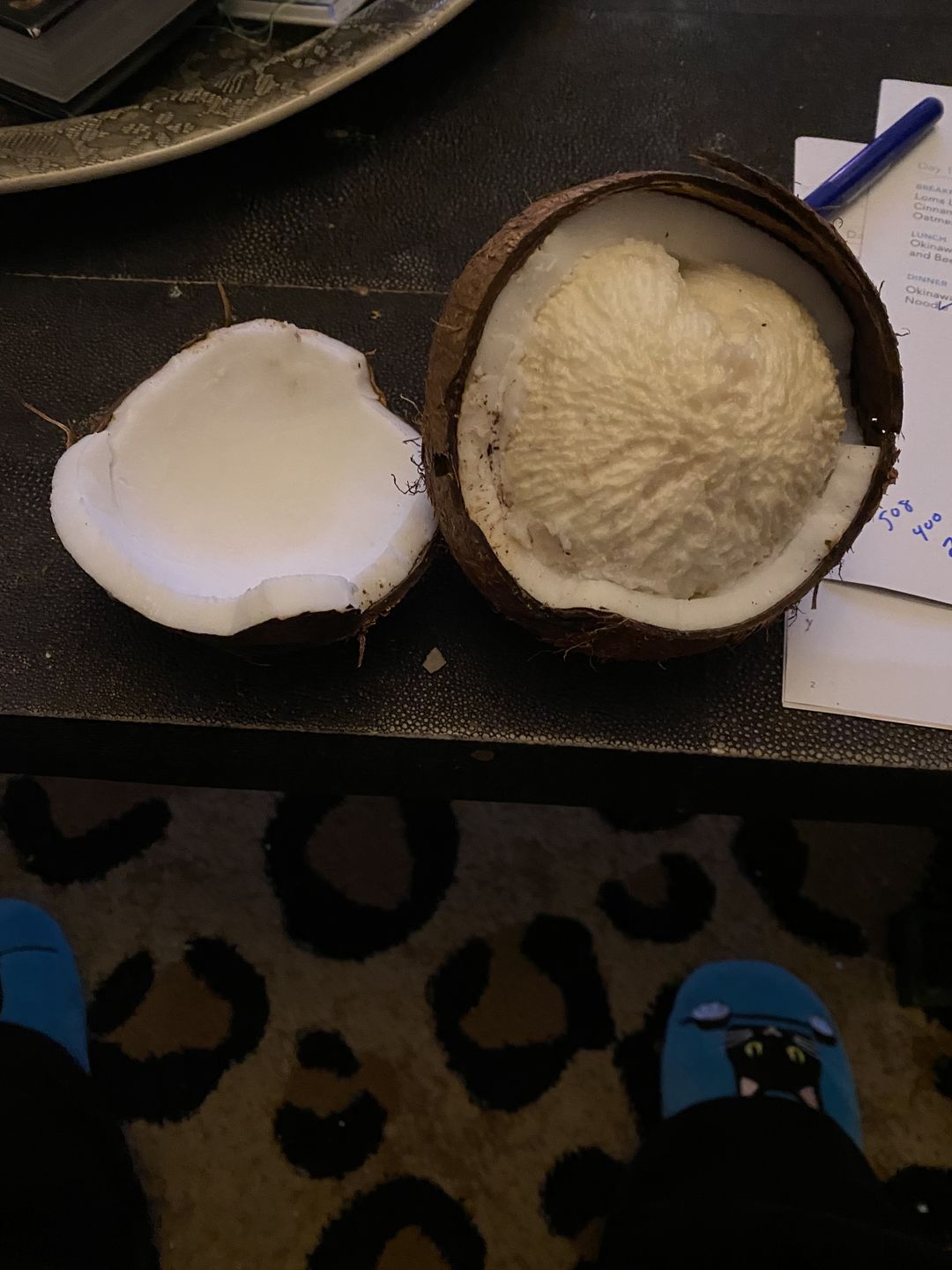 Customer photo review of Sprouted Coconut Box