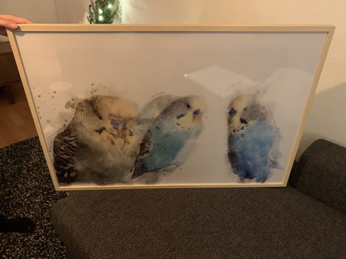 Customer photo review of Individuelles Haustierporträt - Posterdruck