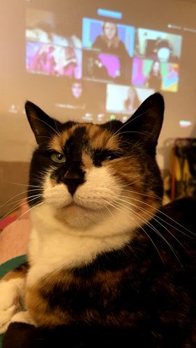 Customer photo review of ASTN Projector HD+ Bluetooth® Speaker